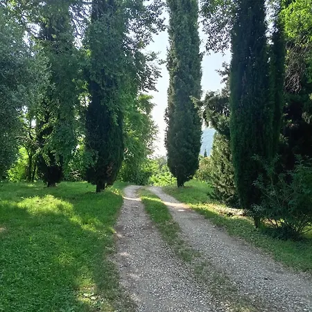 Your Nest On Garda 公寓 阿菲